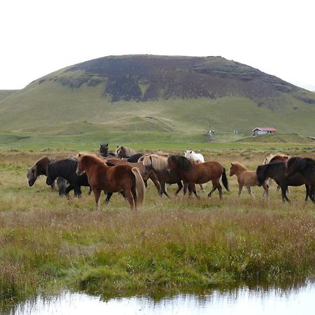 Guesthouse Vellir Vík Kültér fotó